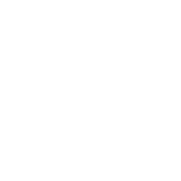View Icon